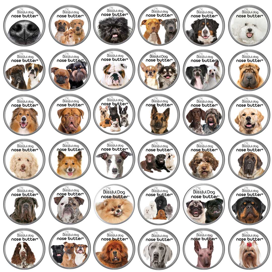 dog breeds